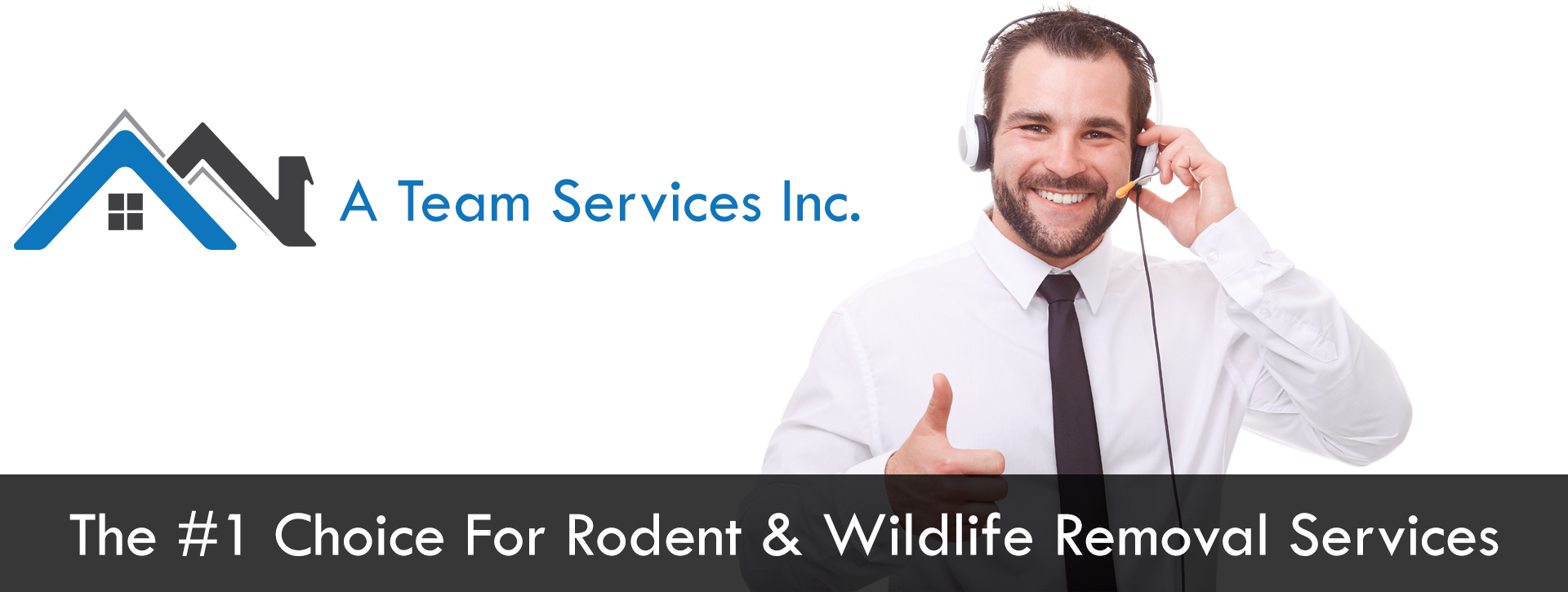 Remove unwanted animals from your home. We employ a team of trapper that can help you get rid of rats, raccoons, possums in Long Beach, Seal Beach, Torrance, San Pedro California.  Check out our yelp review in huntington beach.