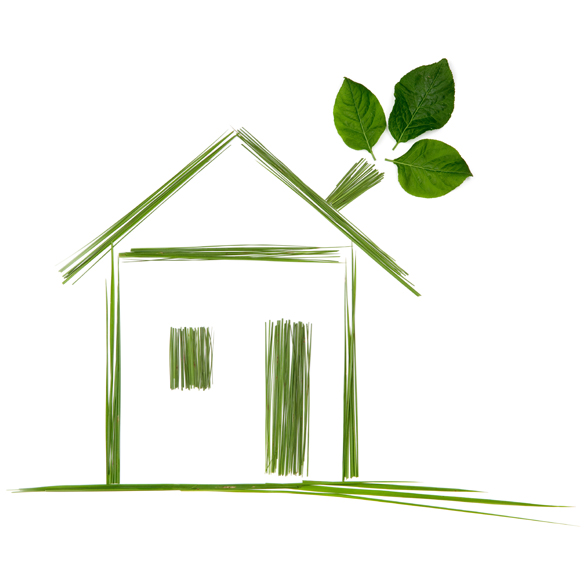 protect your home from any pestecide. We use non toxic solutions to get rid of rats and wildlife inside your home.  when dealing with a team services inc. our concern is to make certain that people living in the home is safe from any harmful chemicals. We do not use rat poison unlike may pest or rodent control companies.